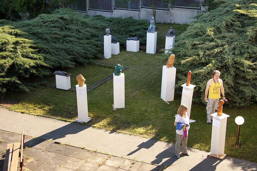 Společná výstava, červen 2010